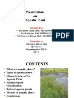 Aquatic Plant Presentation