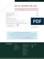 Consulta Tu Recibo de Luz PDF