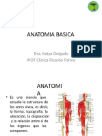 anatomiabasica-131107103333-phpapp01.pptx