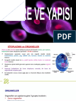 9.sınıf Hücre Organelleri-1