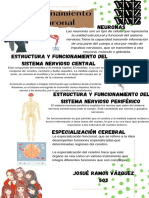 Funcionamiento Neuronal - Compressed PDF