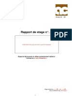 Exemple Rapport de Stage MEI PDF