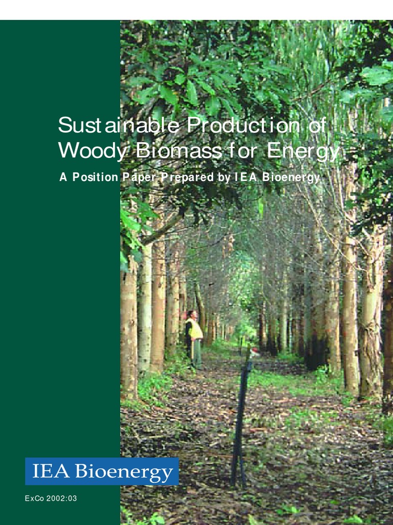 Sustainable Production of Woody Biomass For Energy: A Position Paper ...
