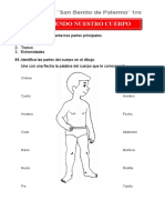 Conociendo-Nuestro-Cuerpo - Ficha