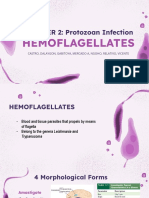 Protozoan Parasites: Hemos and Leishmanias