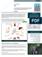 S. Endocrino PDF