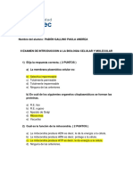 Material - 2023T - NIV009 - 01 - 211278 Examen Paula Pabon