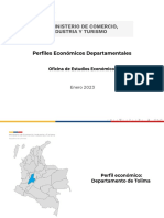 OEE NP Perfil Departamental Tolima 27ene23 PDF