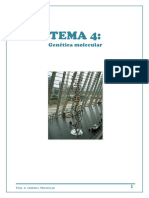 Tema-4 Genc3a9tica-Molecular Apuntes-2017 18 PDF