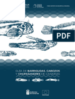 Af 2021 Guía de Barrigudas, Cabosos y Chupasangres PDF