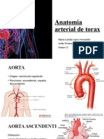 Anatomia Arterial de Torax PPT Camila Lopez Viviana Holguin