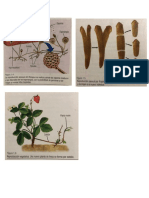 Biologia Bloque 1