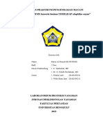 LAPORAN PRAKTIKUM PENGENDALIAN HAYATI Uji B. Bassiana Harun