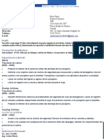 Curriculum Vitae