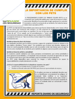 Reporte Diario SSO PDF