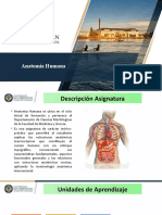 Clase 00 Anatomia Humana.pptx