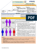 Ficha 07 de Junio 5º