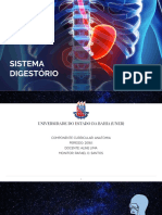 Anatomia - Sistema Digestório