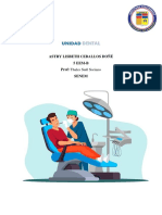 Sillon Dental PDF
