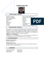 Curriculum Vitae Sergio Junior PDF