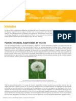 Biologie Vegetale Croissance Et Vieillissement