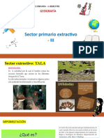 Sector Primario Extractivo - Iii: Capítu Lo