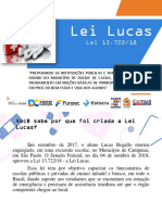 Apostila - Lei - Lucas - Atualizado em 20.07.2022.pptx Revisado 2