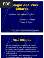 Download PatologiaDasViasBiliares by Paulo Krebs SN63390605 doc pdf