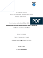 Tesis BCadiz 2020 v4.pdf