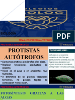 3ºI. Protistas Autótrofos - Guillermo Campó