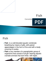Fish 170530025942 PDF
