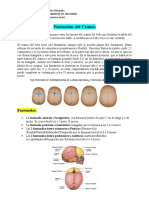 Huesos de la órbita: 7 huesos que la forman