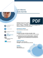 Luis Alberto Justo Garrido: Experiencia Laboral