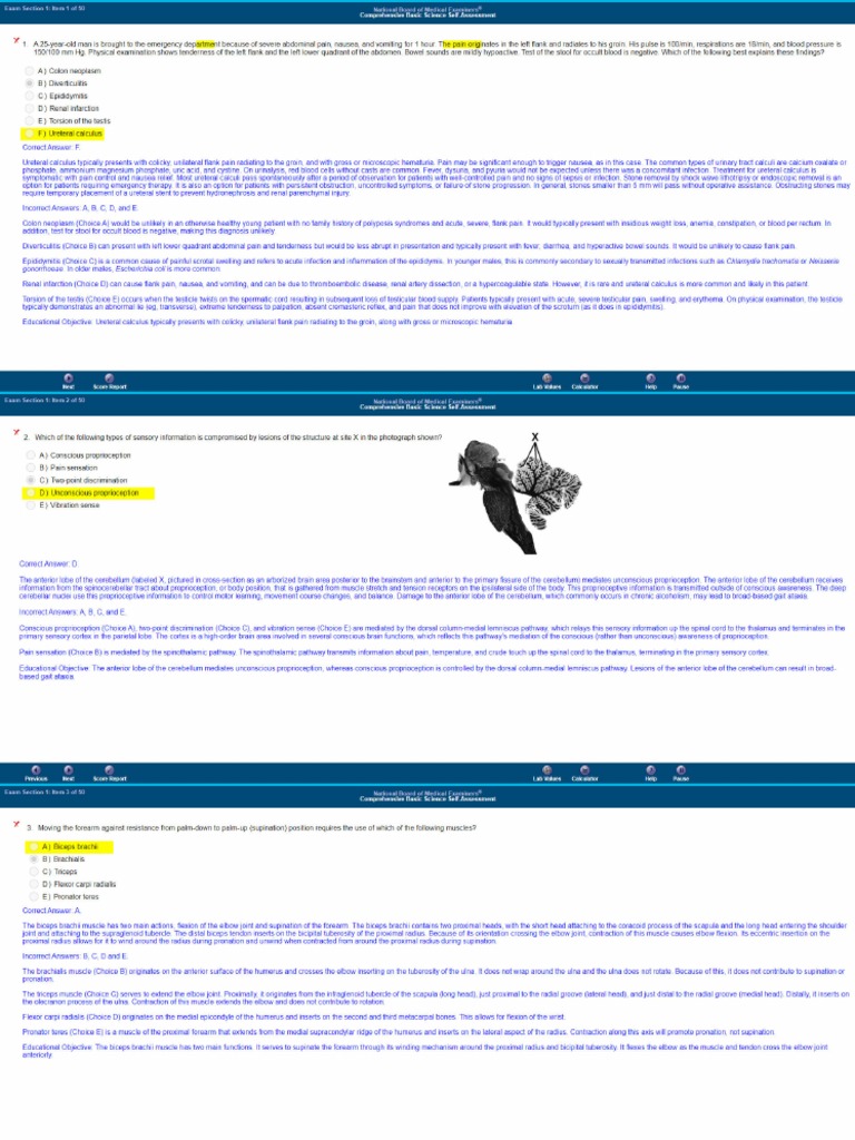 Nbme 28 a pdf elbow menstrual cycle