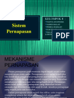 Sistem Pernapasan Manusia