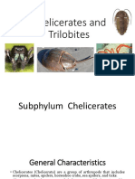 Trilobites PDF