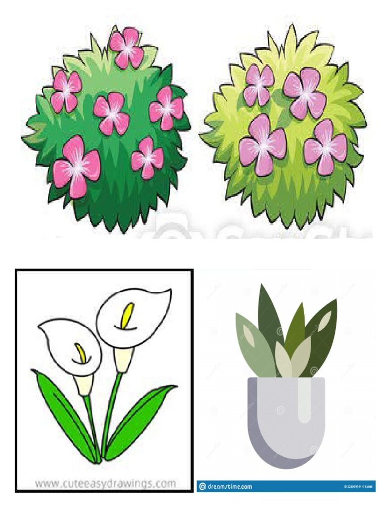 Ornamental Plants PDF