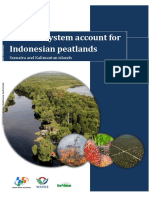 2018 Pilot-ecosystem-account-for-Indonesian-peatlands-Sumatra-and-Kalimantan-islands PDF