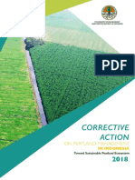DPKG - Corrective Action On Peatland Management in Indonesia PDF