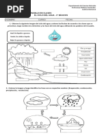 Guía Ciclo Del Agua 3° Basico