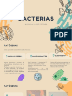 BACTERIAS