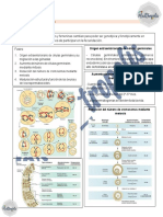 Preparación para el embarazo: Gametogénesis y maduración de óvulos y espermatozoides