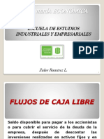 Zulayram - 8. Flujos de Caja Libre PDF