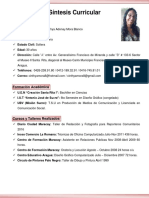 Curriculo Diseño PDF