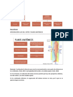 UNIDAD II Correlatos Funcionales de La Estructura Del Sistema Nervioso