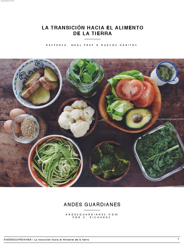 La Transicion Hacia El Alimento de La Tierra PDF, PDF, Alimentos
