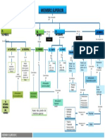 Mapa Conceptual Del Sistema Oseo 12