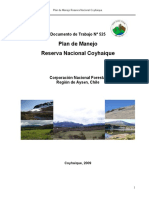 1382467991RNCoyhaique PDF