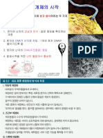 수정 PDF