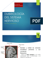 Informe 11 Embriologia Del Sistema Nervioso